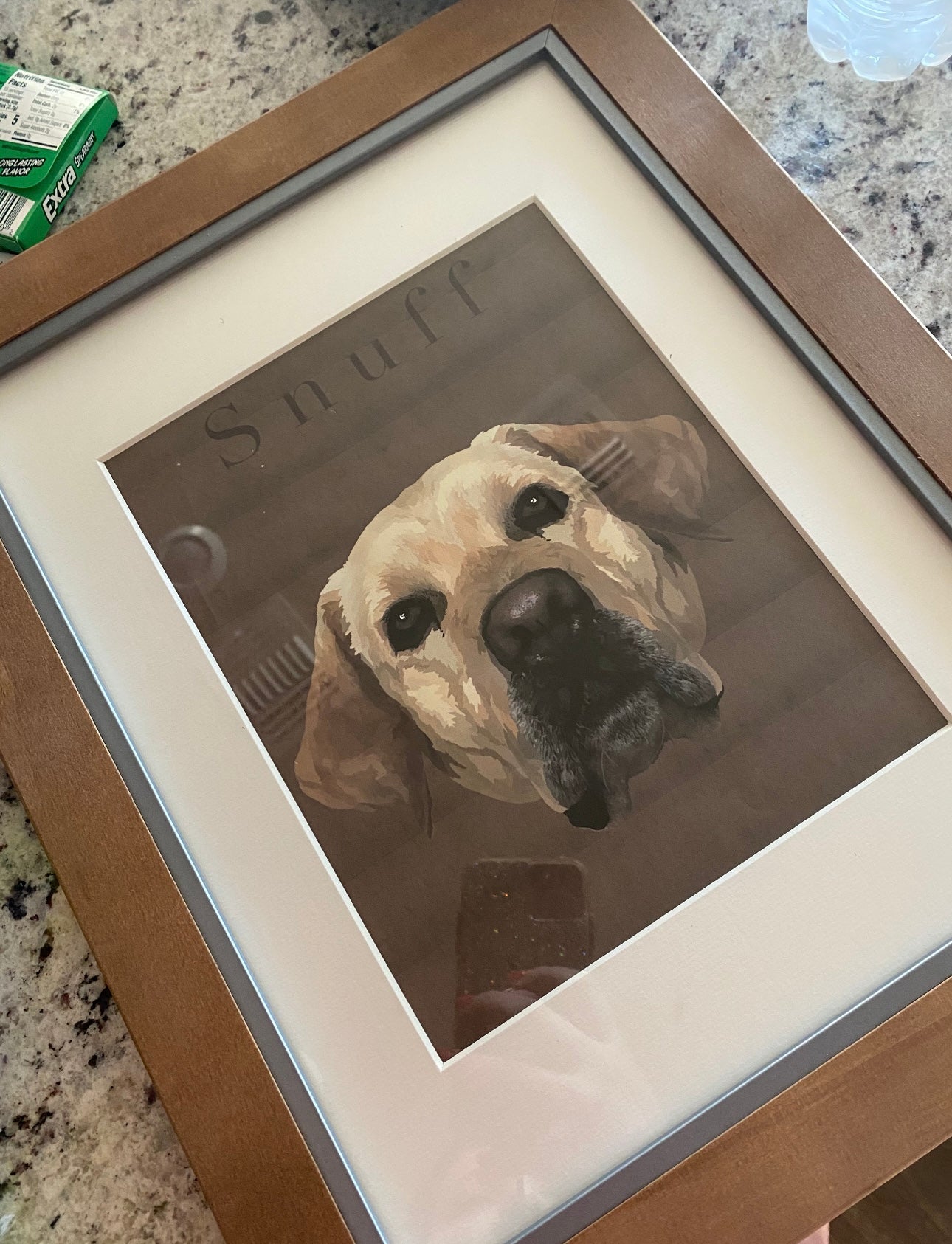 Custom pet portraits