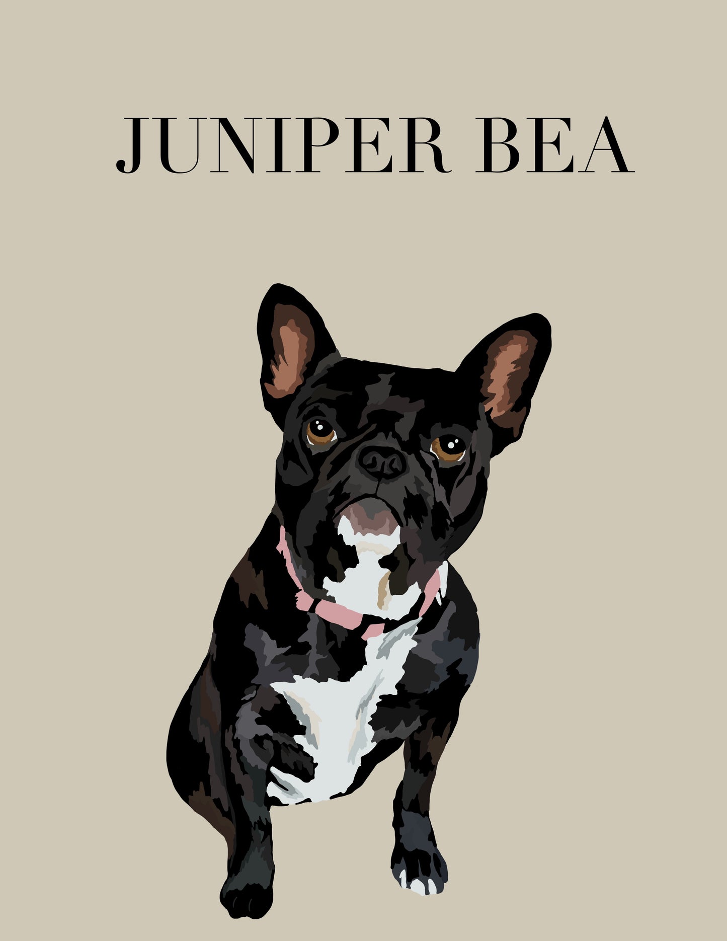 Custom pet portraits